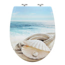 Oval Toilet Lid  Duroplast Toilet Seat Soft-Close Antibacterial with Quick Release Function  For Bathroom Parts