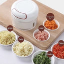 Mini Food Processor Manual Garlic Shredder