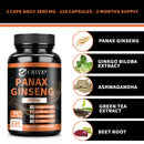 Panax Ginseng Capsules - Enhance Energy Endurance, Improve Memory and Concentration - 120 Capsules
