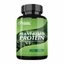 Plant Based Protein Supplement - Promotes Digestion and Intestinal Health, Boosts Immunity, Antioxidant - 120 Capsules