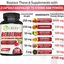 Berberine Supplement - Ceylon Cinnamon, Turmeric - Digestive Health, Antioxidant - 120 Capsules