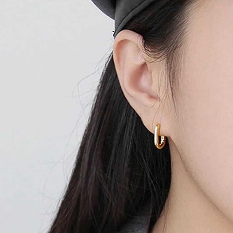 MC Geometric Silver Hoop Earrings for Women S925 Sterling Plata Ear Rings 2020 New Trends Hot Sale Simple Minimalist Pendientes