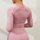 NORMOV Seamless Yoga Set For Women 2/3 PCS Gym Set Fitness Sport Set Women Workout Leggings Push Up Bra Long Sleeve Shirts