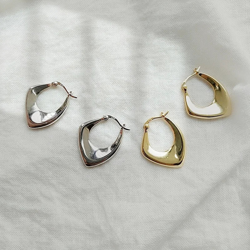 925 Sterling Silver Metal Irregular Hoop Earrings for Women Ins Niche Geometric Earrings Oorbellen Wholesale