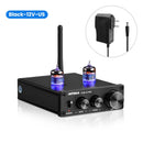 AIYIMA A3 PRO GE 5654W Tube Amplifier Preamplifier Bluetooth 5.0 Bile Pre AMP Vacuum Tube Preamp Upgrade 6J1 6AK5 EF95