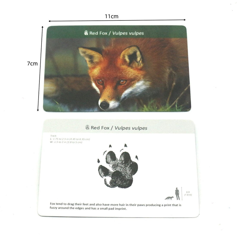 72PCS Montessori Flash Cards Animals  Footprints Montessori English Learn Card Early Educational Toy Memory Game for Children