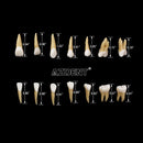 1:1 Dental 28 Pcs Demonstration Permanent Teeth Teach Model Implant Dentist Practice Product