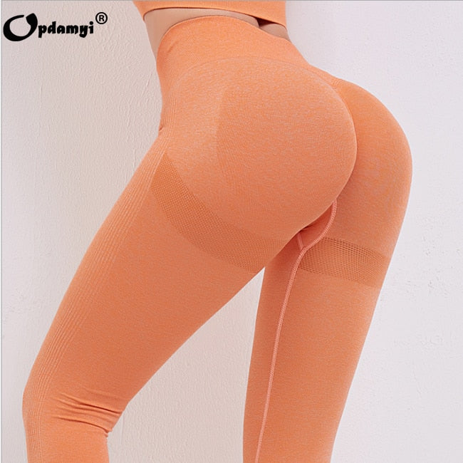 Women Seamless Yoga Set Sports Bra High Waist Leggings Fitness Sets Gym Shorts Running Sportswear Workout Clothes Sports Suits