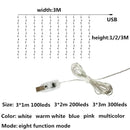 3M LED Curtain Festoon Light USB Remote Control Fairy Christmas Garland on The Window String Lights New Year Party Decoration