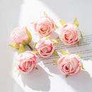 44540188623071|44540188655839