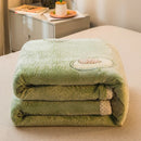 Pineapple Avocado Pattern Super Soft Raschel Blanket Thick Coral Fleece Plush Duvet Cover Double Side Warm Blankets For Bed
