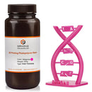 45408201507039|45408203833567|45408203997407|45408208257247|45408208421087|45408208486623|45408208519391