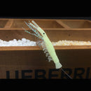 JYJ 10bags New Sabiki Soft Fishing Lure Rigs Luminous Shrimp Bait Jigs Lure soft lure Worn Fake lure