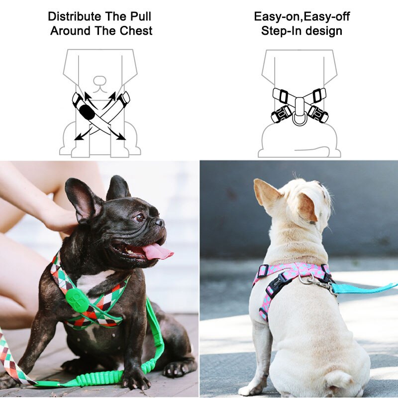 Matching Hands Free Running Dog Harness And Leash Set Training Designer Stylish Pink Dog Strap Harness Lead Retractable Walking