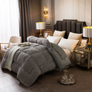 Autumn Winter Thicken Warm Lamb Wool Quilt Blanket Single Double King Queen Bed Cover Bedding Comforter Home Hotel Duvets