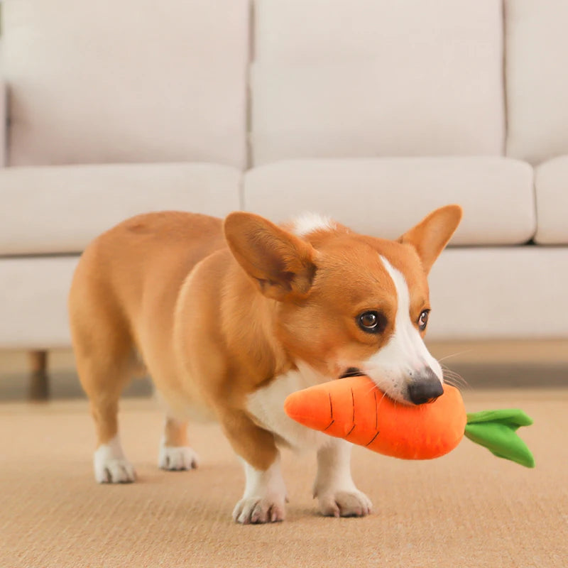 HOOPET Dog Toy Pet Carrot Plush Toy Vegetable Chew Toy for Small Medium Large Dogs Pet Sound Playing Toy Dog Accessories