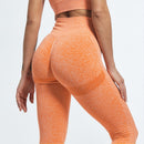 SALSPOR Women Seamless Gym Leggings Push Up High Waist Sports Women Fitness Stretch Running Quick-drying Leggins Femme Trousers