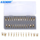 AZDENT 28PCS Dental 1: 1 Permanent Teeth Demonstration Teach Study Model Dentist Implant Teaching Model