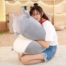 44403707904223|44403707936991|44403707969759