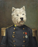 44437552234719|44437552267487|44437552300255|44437552333023|44437552365791|44437552398559