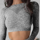 44453919457503|44453919490271|44453919523039