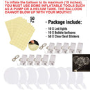 44558259028191|44558259060959|44558259093727|44558259126495