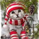 44543014011103|44543014043871|44543014076639|44543014109407|44543014142175|44543014174943|44543014207711|44543014240479|44543014273247