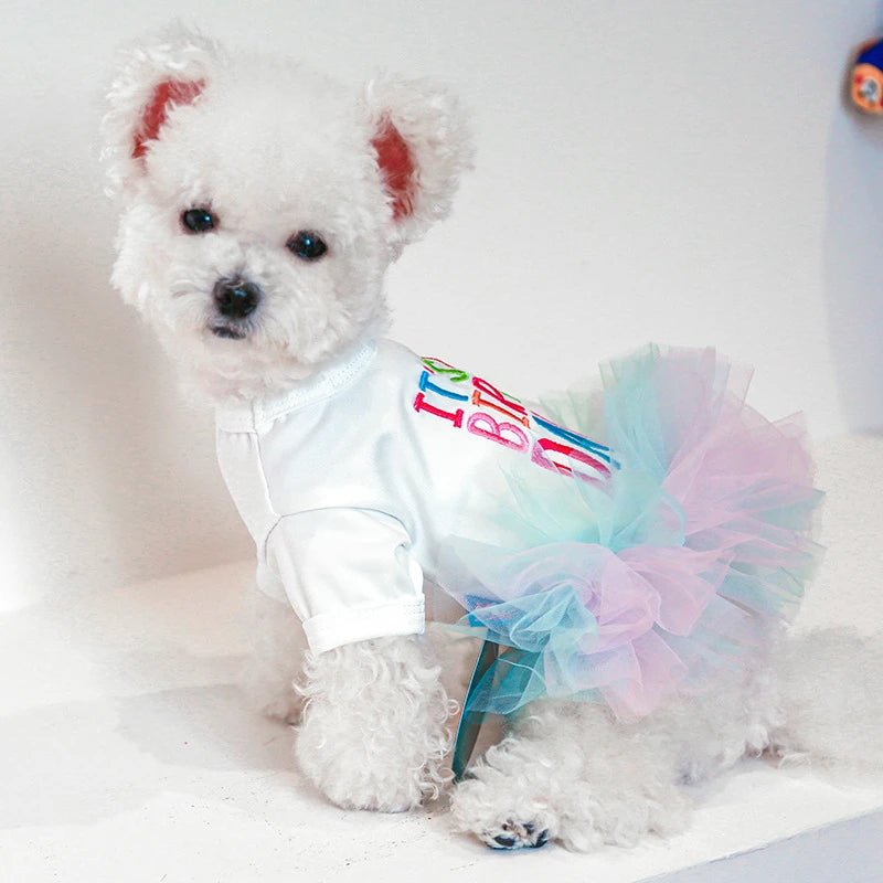 Layered Rainbow Veil Puppy Summer Clothes for Small Dogs Birthday Short Sleeve Pet Dog Dresses Princess Summer New Cat Clothing
