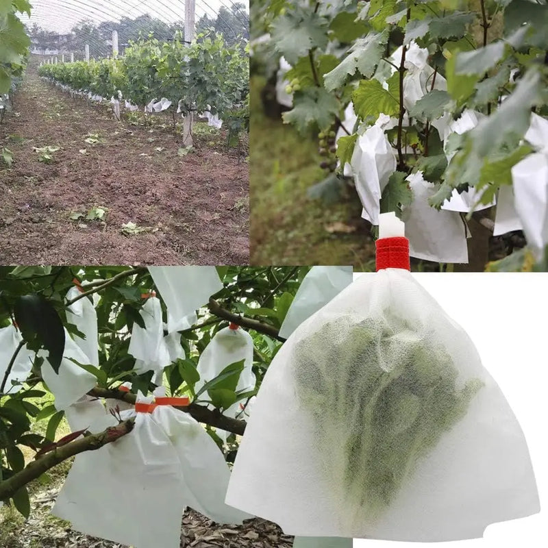 100/50Pcs Garden Fruit Protection Bags Non-woven Fabric Grape Protection Bags Anti-bird Insect Barrier Pouch for Apple Vegetable