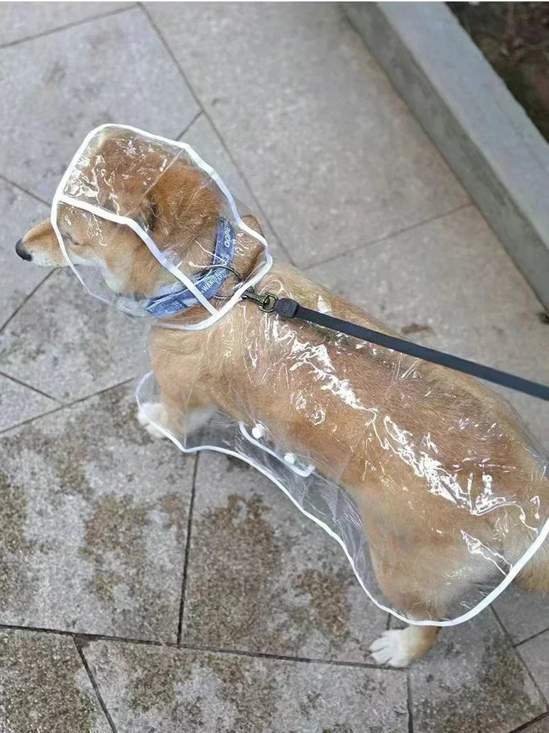 Clear Pet Raincoat  Rain Jacket Waterproof   Pet Coat for Samll Medium Dogs Teddy Shiba Dog Poncho Outdoor Walking Pet Clothes