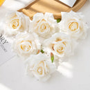 44612961173727|44612961206495