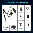 Professional Wireless Microphone/Professional Wireless Microphone Microphone Microphone PC Control Mobile Phone For KARAoke Brazil