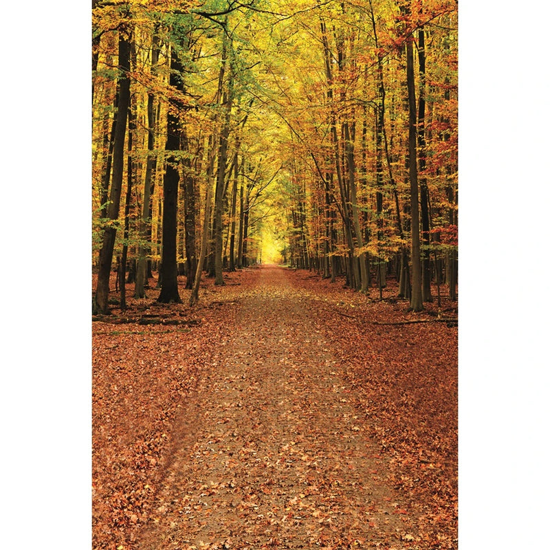 Autumn Landscape Backdrop Fall Forest Maple Fallen Leaves Nature Scenery Harvest Thanksgiving Portrait Photography Background
