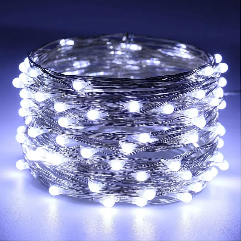 100/2M USB/Battery LED String Lights Waterproof Copper Wire Garland Fairy Lighting Strings Christmas Wedding Party Decor Lamps