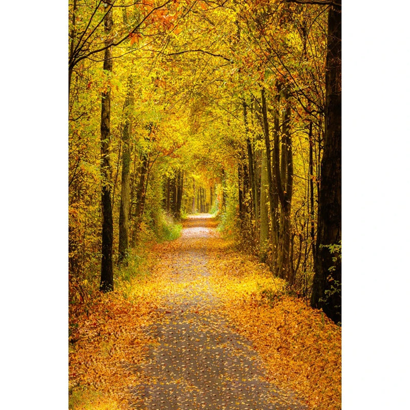 Autumn Landscape Backdrop Fall Forest Maple Fallen Leaves Nature Scenery Harvest Thanksgiving Portrait Photography Background