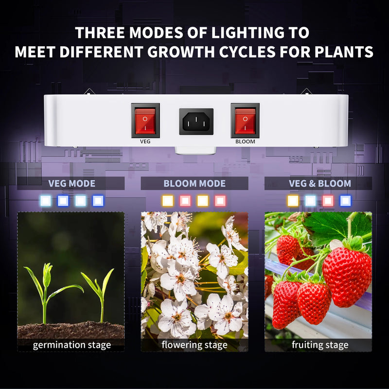 KINGLED Led Grow Light 1000W/2000W/3000W/4000W full spectrum Phytolamp for plants in grow tent greenhouse grow box
