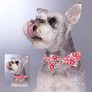 Bowknot Floral Dog Collar Nylon Flower Pet Dogs Collar Padded Puppy Collars Adjustable for Small Medium Large Dogs Pug Chihuahua