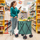 Folding Hand Truck Black Big Lightweight Cart Portable Telescopic Dolly Backpack Luggage Travel Moving Shopping Trolley