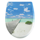 Oval Toilet Lid  Duroplast Toilet Seat Soft-Close Antibacterial with Quick Release Function  For Bathroom Parts