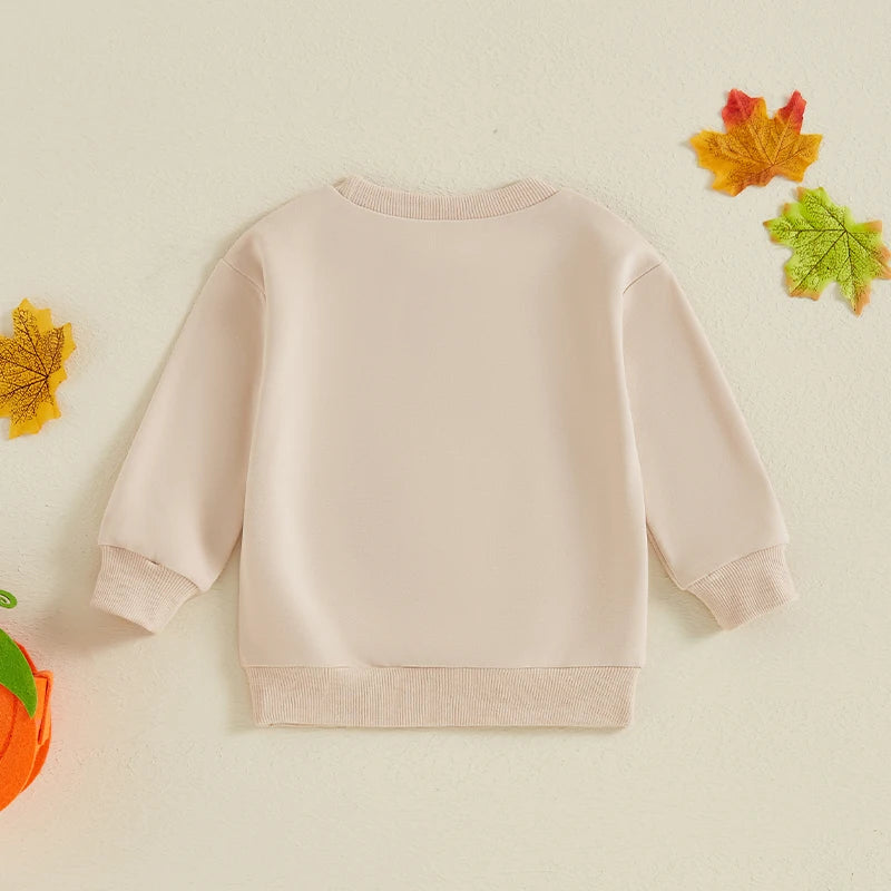 2024-05-15 Lioraitiin Little Boy Girl Halloween Sweatshirt Pumpkin Embroidery Crew Neck Long Sleeve Pullover Tops for Fall