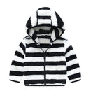 44540184428767|44540184461535|44540184494303|44540184527071|44540184559839