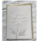 6pcs/set White Color Flower Greeting Card with Envelopes Pop Up Best Wishes Blank Thank You Gift Cards Invitations