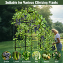 U-Shaped Metal Tall Garden Plant Trellis Grow Support Frame for Climbing Plants Vegetables