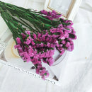 44534648078559|44534648111327