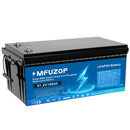 Ddtouboss 48v Lithium Battery 100Ah Peak Discharge Current 500A With Smart BMS Use for Inverters PV RV