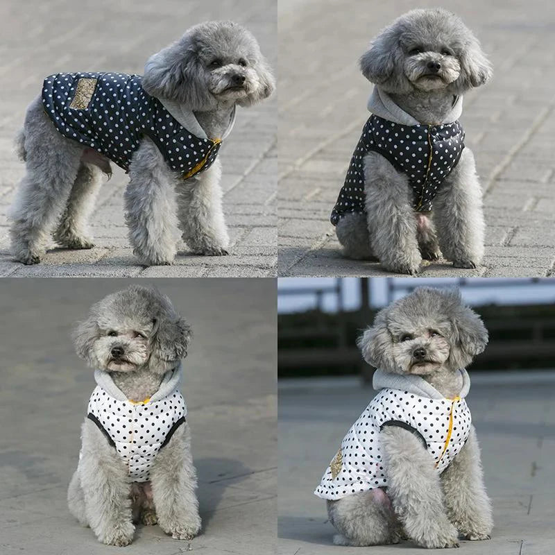 Autumn Winter Dog Clothes For Small Dogs Warm Waterproof Hoodie Coat Chihuahua French Bulldog Polka Dot Jacket Puppy Clothing