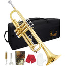 SLADE Bb Trumpet Brass Instrument Standard Brass Trumpet Set for Students Beginners Professional Trumpet Gold Silver with Box
