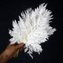 10pcs Preserved Natural Real white Arachniodes Leather Leaf Fern Fresh Fern Leaves Preserved flowers Plants Christmas Decoration