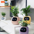 Tuya Ivy Smart Planter,Endless Fun Over 49 Rich Expressions,7 smart sensors,AI Chips Make Raising Plants Easy and Fun