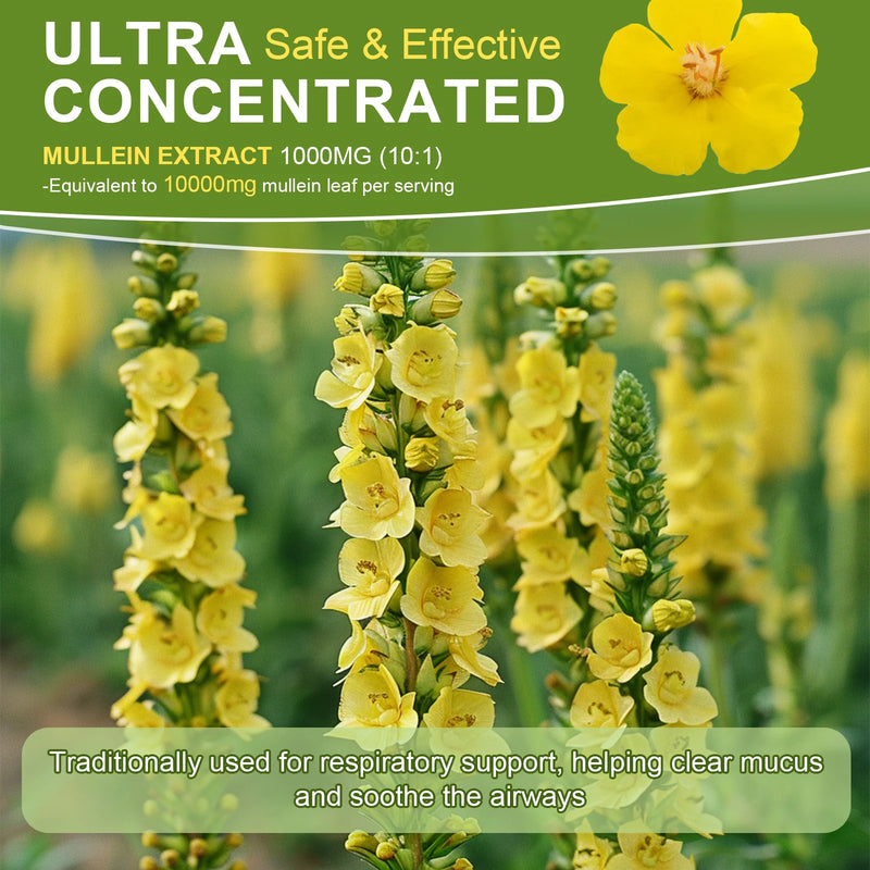 Mullein Drops for Lungs - Mullein Leaf Extract Supplement  - Lung & Bronchial Cleanse - Respiratory Health Support
